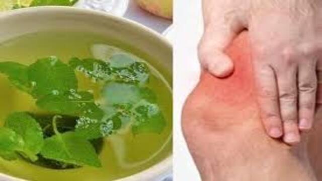 Obat Herbal untuk Asam Urat Solusi Alami Mengatasi Nyeri Sendi